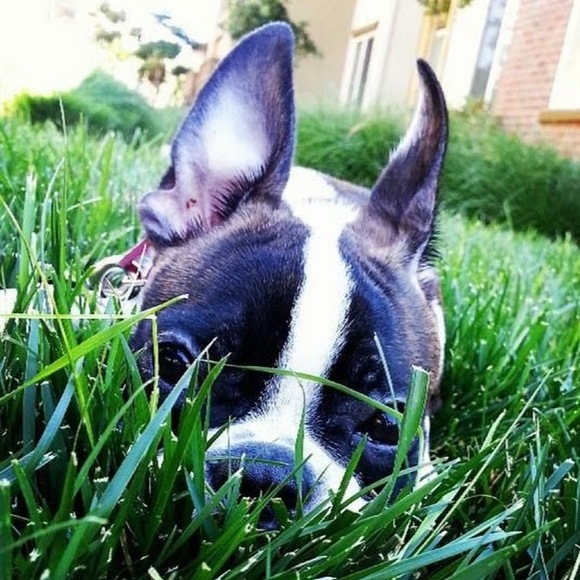 Meet your Posher, Jamie - Picture 1 of 1